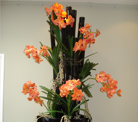 Орхидея фаленопсис в интерьере №4