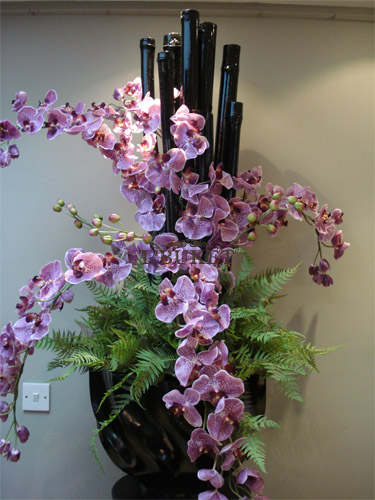 Орхидея Фаленопсис в интерьере №3